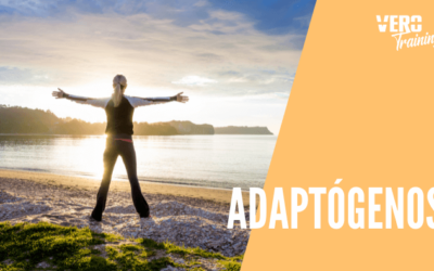 ¿Que son y para qué sirven los adaptógenos?